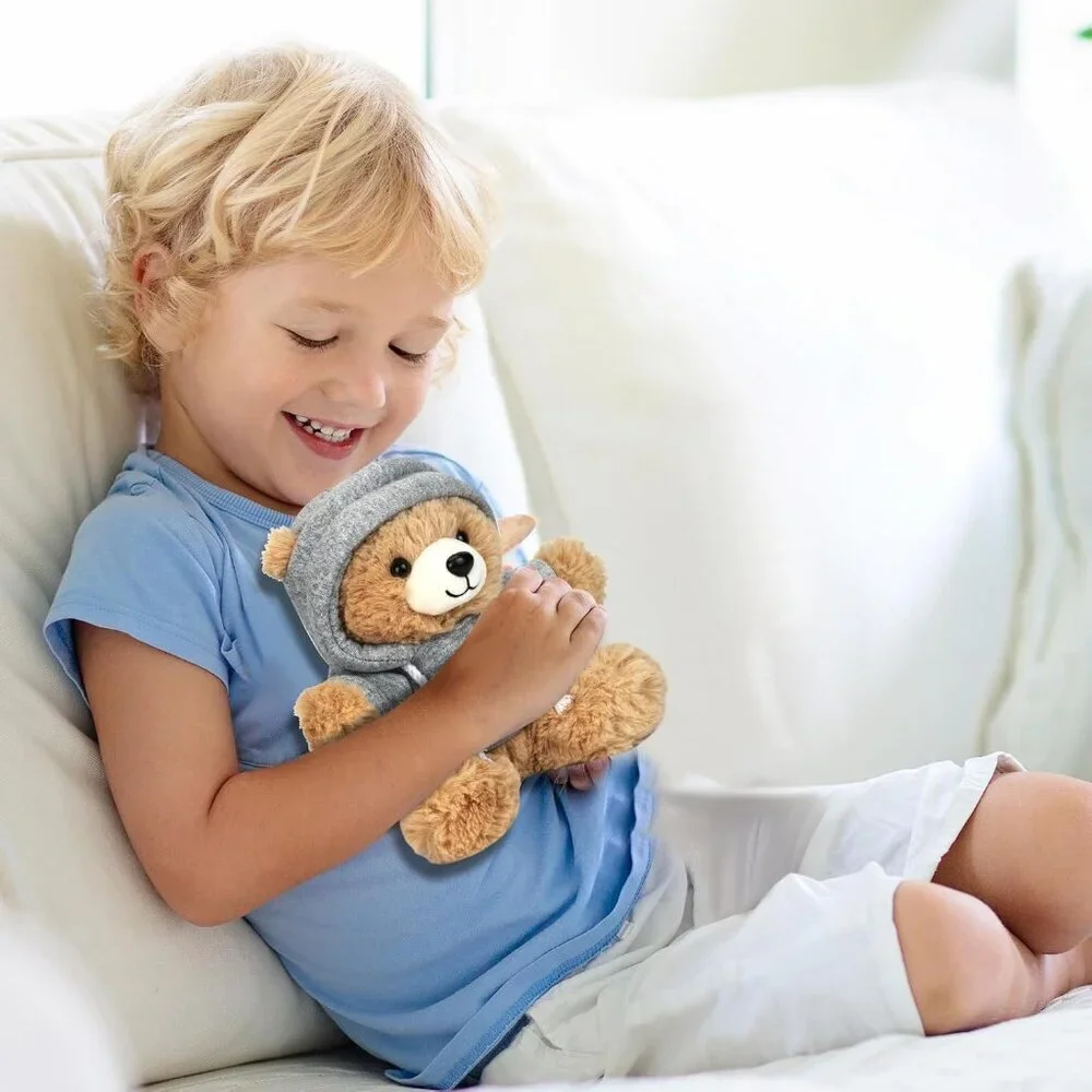 Big Hugs Teddy Bear Stuffed Animal with Gift Box Removable Hoodie Toy